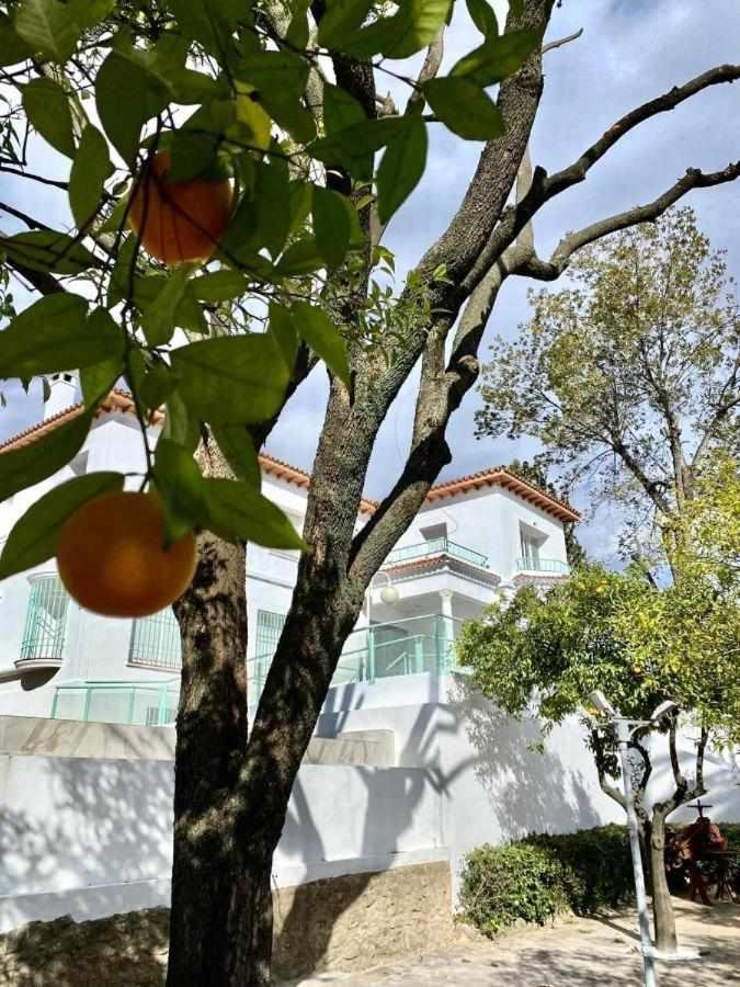 Nuevo Los Almendros 101 Complejo Turistico Lägenhet Córdoba Exteriör bild